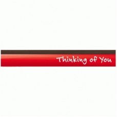 CATEGORY HEADER INSERT-THINKING OF YOU (910 X 125)