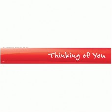 SLAT WALL HEADER-THINKING OF YOU (910 X 97)