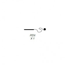 PEN AND CHAIN