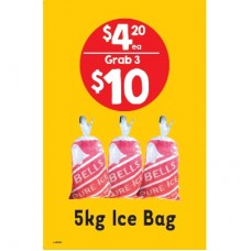 $4.20 ICE CLIP FRAME INSERT